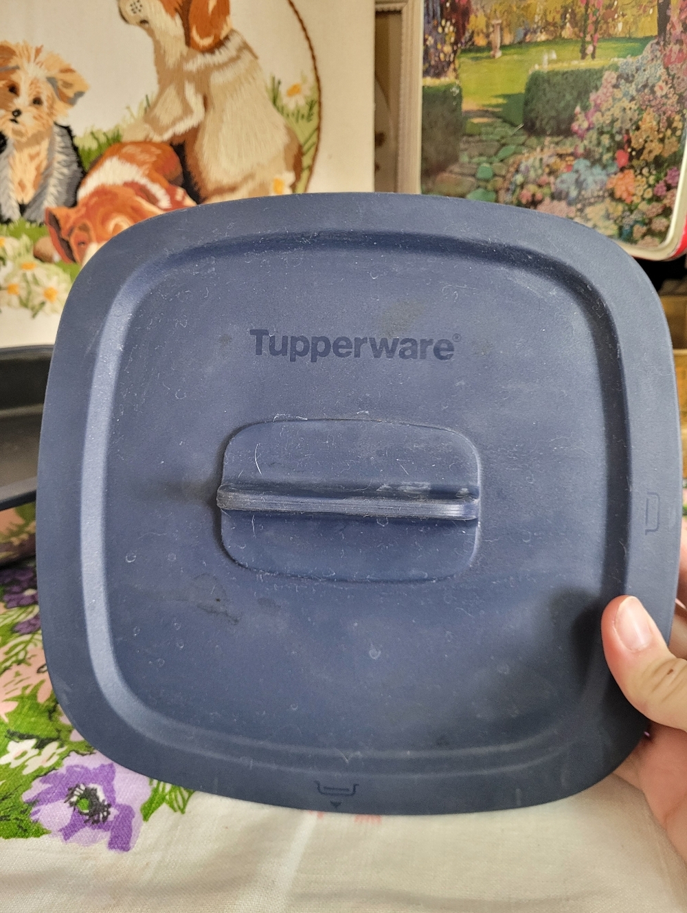 Tupperware MicroPro Series Indoor Grill - Picture 2 of 12
